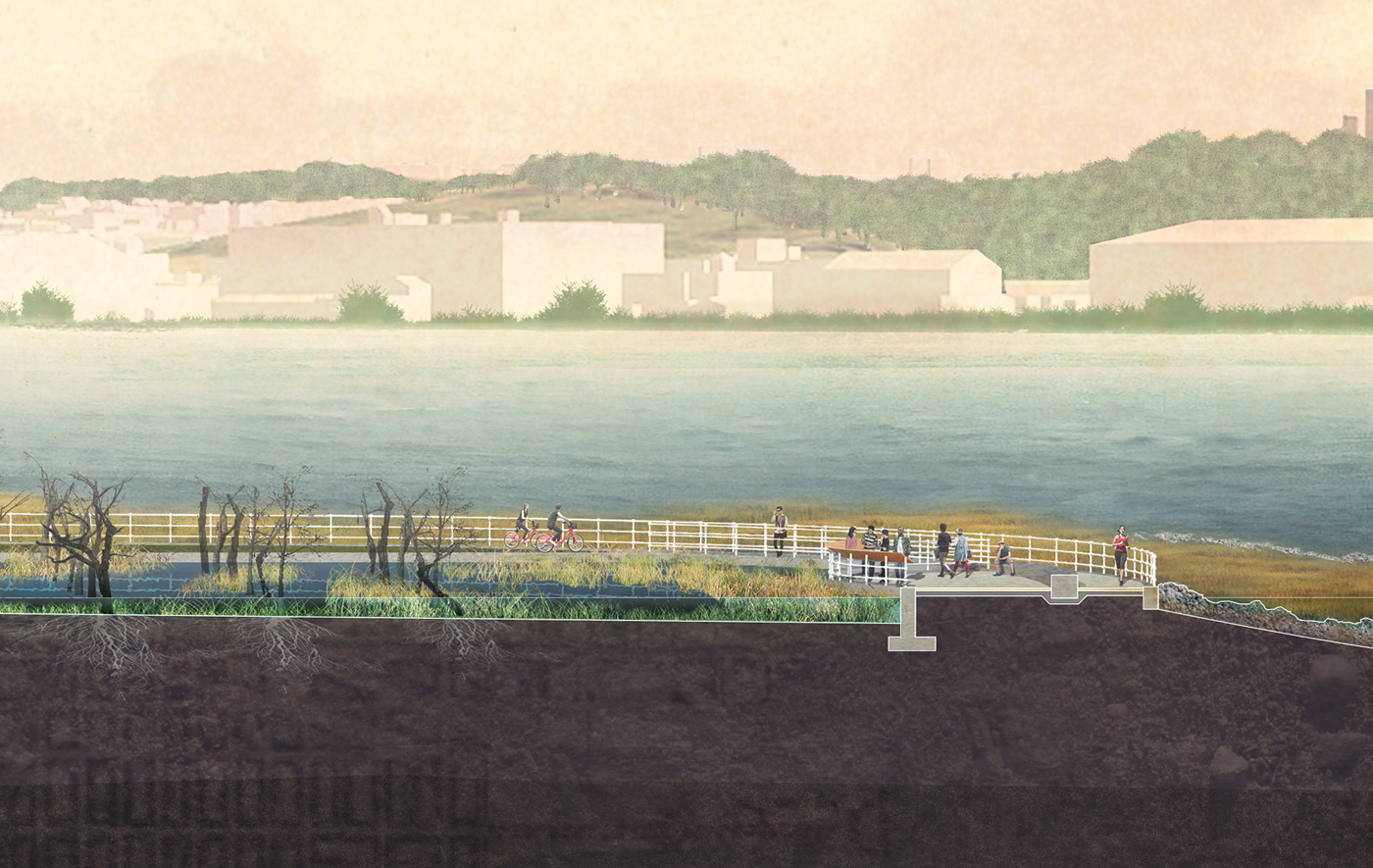 Section at the southern apex of Hains Point in East Potomac Park. The memorial conceptually straddles the successes and failings of American ingenuity. It records our questions about a coming epoch of potentially insurmountable challenges in a Tidal Basin that is an embodiment of traditional control-driven engineering, led by Peter Conover Hains, the Point's namesake engineer.